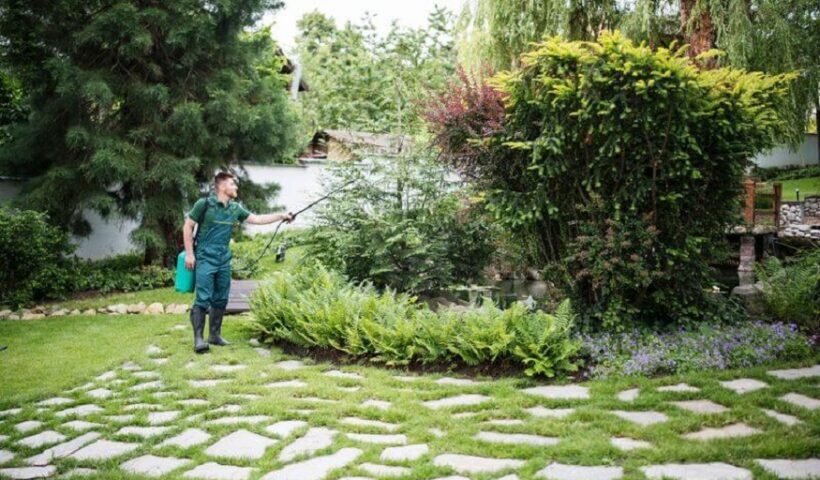 Business Free from Pest Attacks