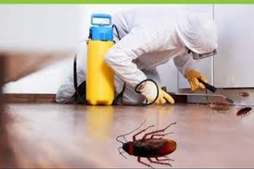 Pest Control Services