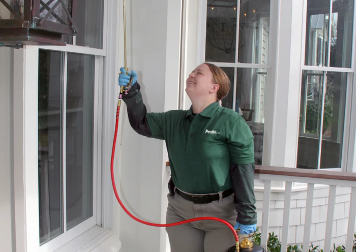 Pest Control in Arlington