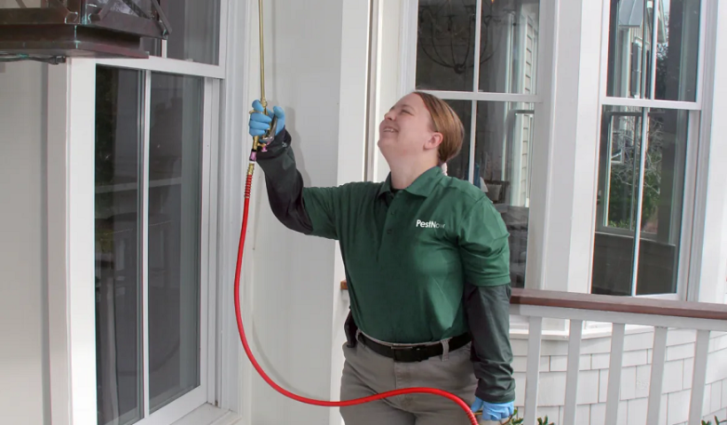 Pest Control in Arlington