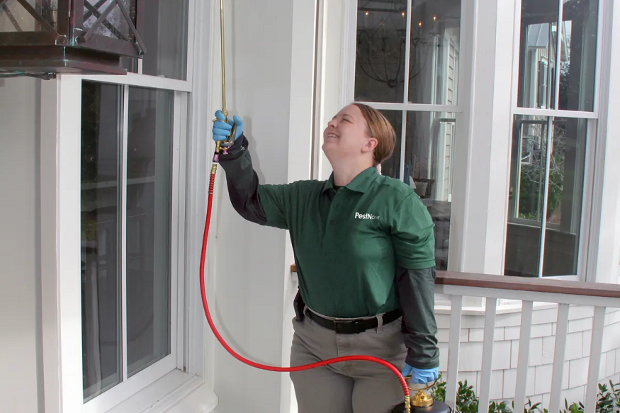 Pest Control in Arlington